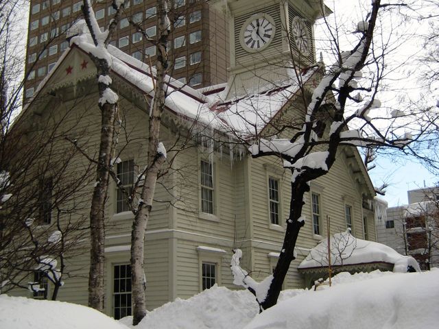 ���̎��v��_�D�y�s���v��