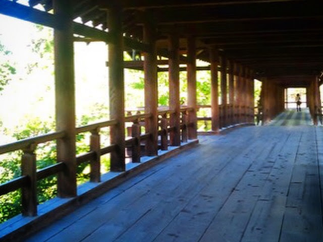 �^�񒆂ɉ˂��鋴"�ʓV��"�Bῂ��΂��T���Ɩ΂�I_������