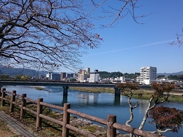 �ƂĂ��傫�Ȑ�ł���_������