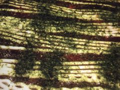 お好み焼 ゆかり 天王寺ミオプラザ館店の口コミ一覧 じゃらんnet