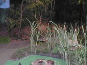 ̌V@Ԍnۑ{݃ANAC̓eʐ^1