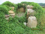 �k�̉B������̘a�v�P���Õ��̓��e�ʐ^2