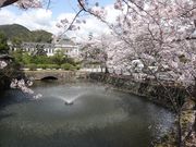 ney����̎R�����������ɋy�ы�����c�����̓��e�ʐ^1