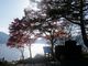 ゆばなゆきゆきさんの日光国立公園中禅寺湖畔の投稿写真1