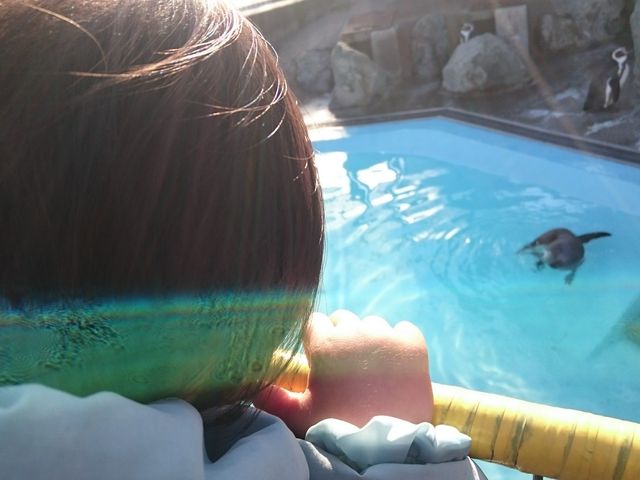 �y���M���͓~�����C_����s��R������