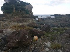かっちさんの枕状熔岩（田代海岸）の投稿写真1