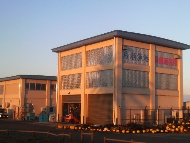 �����ɏƂ炳���ЎR���`������_�А����`������