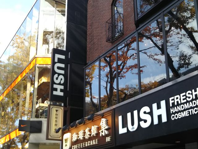 cJ擙X͂̏Zl蒃 W h\QX̓eʐ^1