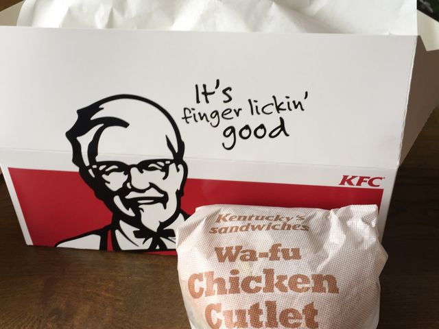 `Lƃo[K[_P^bL[tCh`LkԓcX