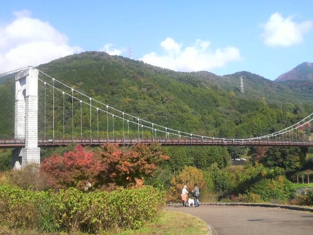 �����`��ː�����ɂāA�g�t���͂��܂��Ă��܂�_�����`��ː����