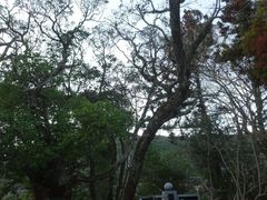 pon񂳂̓VÐ_{ւ̓eʐ^4