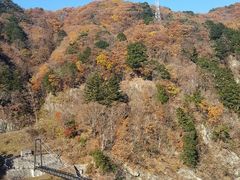 ̂񂳂̋S{|݋ւ̓eʐ^1