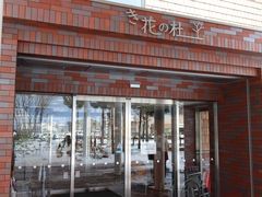 񂳂̚≮{X@Ԃ̓mւ̓eʐ^1