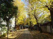 pon񂳂̓Vc_Ђ̓eʐ^1