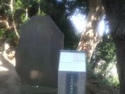 Ƃ񂳂̕sVČLO̓eʐ^2