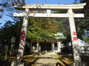 pon񂳂̋xm_Ђ̓eʐ^3