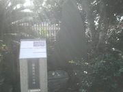 ���Ƃ��񂳂�̕����������̓��e�ʐ^1