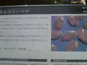 ���Ƃ��񂳂�̕����������̓��e�ʐ^2