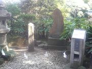 Ƃ񂳂̕΁^]ٍ̓VW̓eʐ^2