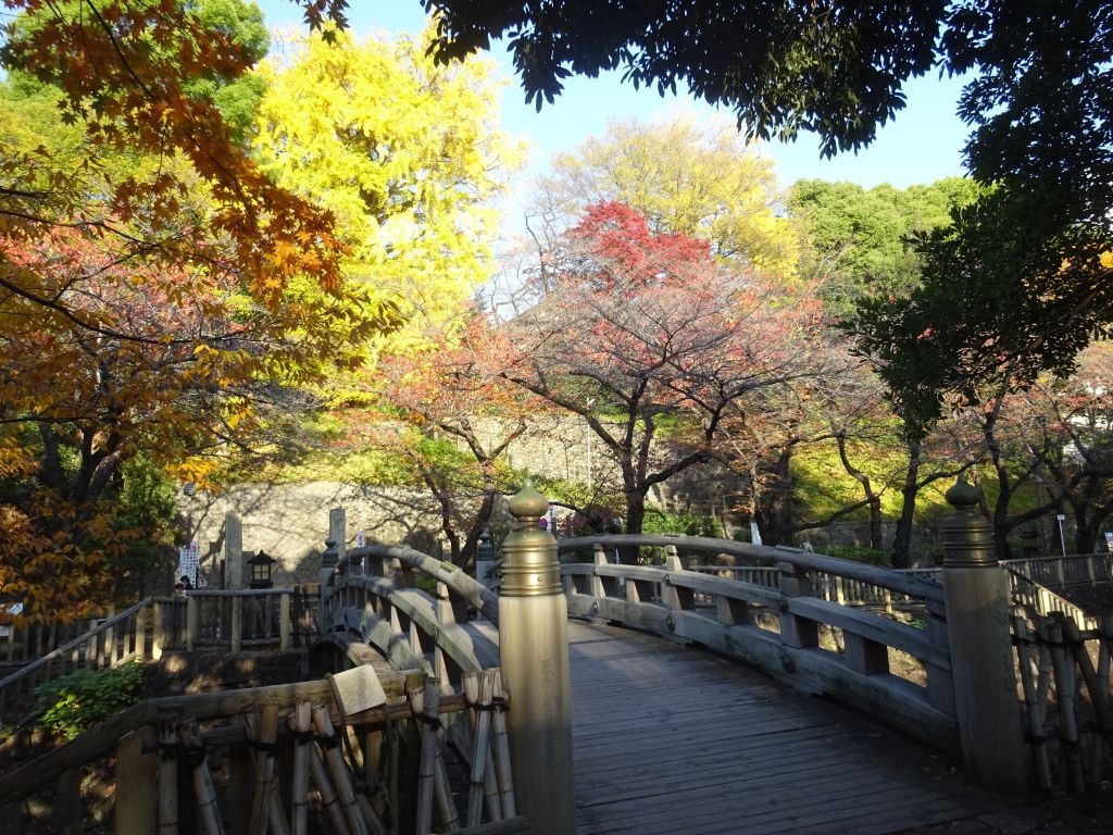 大学が見える公園 大学が見える公園 エクスポジションパーク クチコミ・アクセス