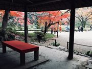 ߂̂̊ۉiΐyj̓eʐ^3