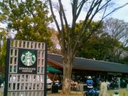 usa����̃X�^�[�o�b�N�X �R�[�q�[ ��쉶�������X�̓��e�ʐ^1