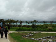 psoměÉFӂꂠL̓eʐ^1