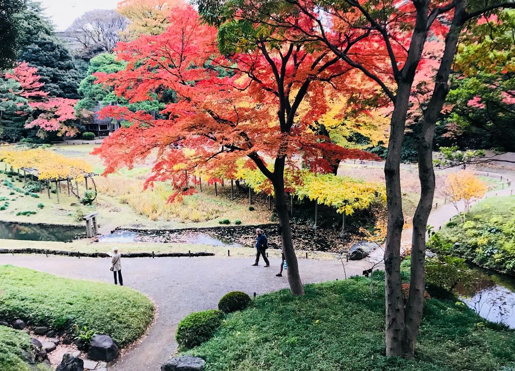東大前駅周辺の公園・庭園ランキングTOP10 - じゃらんnet