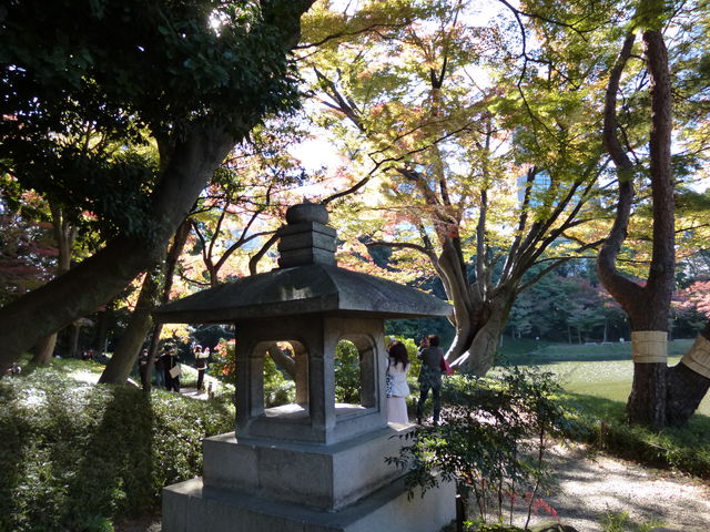 򐅂̂قƂł_ٌ`Uiΐyj