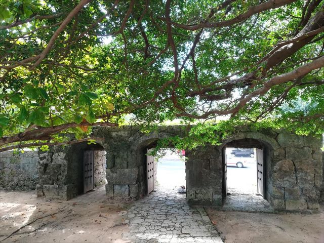 �傾�����c��_���������Ζ�