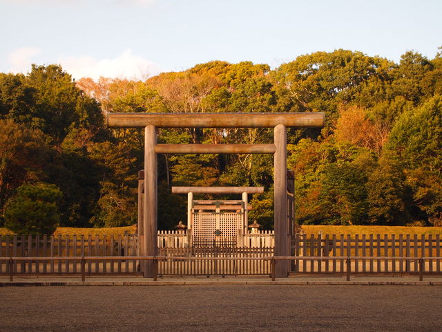 ˂񂳂̐_Vc˂̓eʐ^2