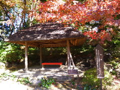 �g�����\����̊ۉ��i���ΐ��y���j�ւ̓��e�ʐ^1