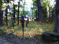 �g�����\����̖ؑ]�R�i���ΐ��y���j�ւ̓��e�ʐ^1