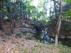 g\̐Qȏiΐyjւ̓eʐ^1