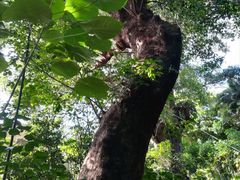 unari̎񗢋钬̑AJMւ̓eʐ^1