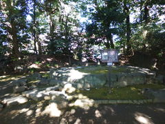 g\̔TՁiΐyjւ̓eʐ^1