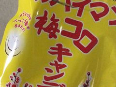 ₳̋킵Vbv{Xւ̓eʐ^1