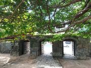 unari����̋��������Ζ�̓��e�ʐ^1