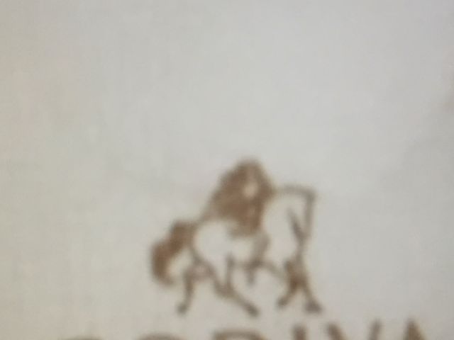 GODIVA_SfBo VRCXg ȂChTY