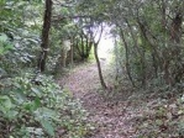 tXs[h̒^ӂ邳ƎR݂̂̓eʐ^1