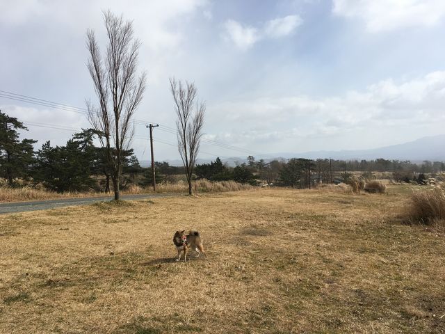 �~�̋v�Z�B�Ⴊ�����Ă��܂����B_�����イ�X�ь����X�L�[��