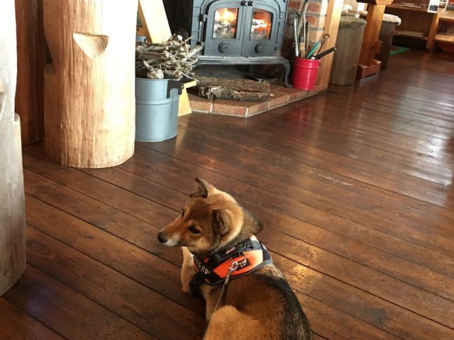 �J�t�F�u�{�C�{�C�v�g�F���g���������ł��B_�����イ�X�ь����X�L�[��