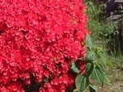 tXs[h̗␅x̃ccWE̓eʐ^1