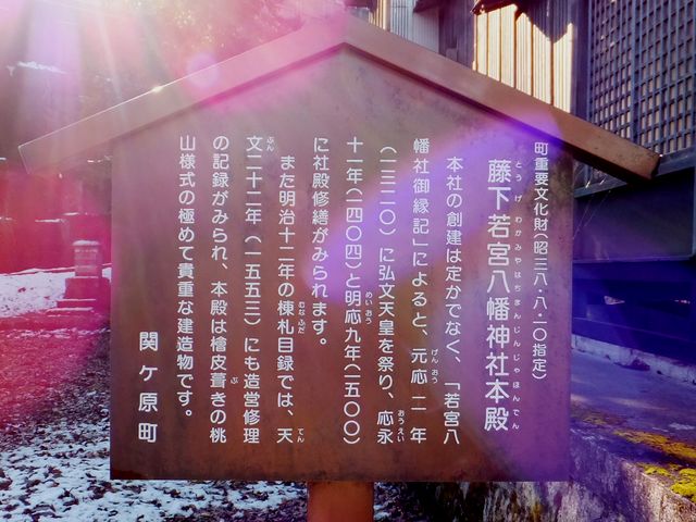 ���ڂ炳��̎�{�����_�Ђ̓��e�ʐ^3