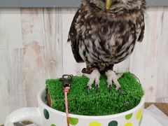 xCxĜρ[@tNEJtFr܂ւ̓eʐ^1