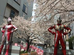 v-masa̐ԍTJXւ̓eʐ^1