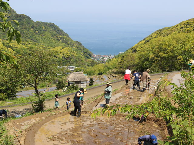 �{�����e�C�A�̐l���c�A�������Ă��܂���_�Ε�����