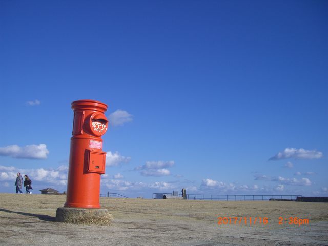 �V��̃|�X�g_���F�R���W�]��