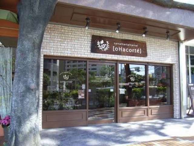 X\IV_moHacorteniInRej