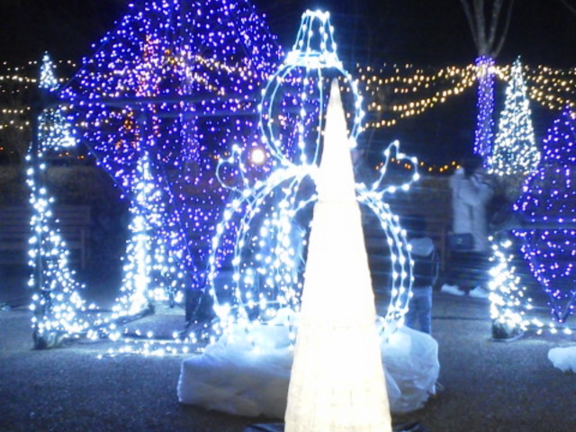 �Ⴞ��܂����o�}��_���c�A���v�X���Â݂̌����@�x���E�䍂�n��